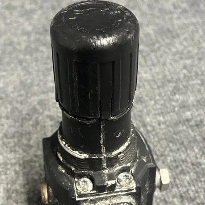 Used Dayton 4ZM22 Air Pressure Regulators California US | Davliegogo LLC #1705669