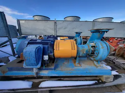 USED GOULDS 3196