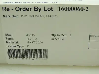 BS&B Safety Systems Rupture Disk 4" Type DV(L) 20.3 psi(G) @ 72°F