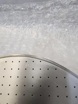 SPTS SHOWER HEAD ASECO 9 INCH