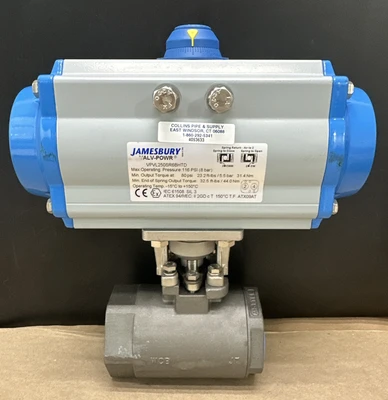 NEW Jamesbury VPVL250SR6BHTD