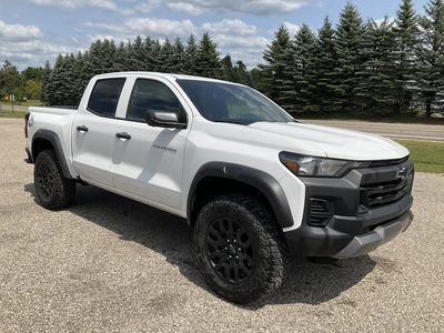 Used 2025 CHEVROLET COLORADO Pickup Trucks Michigan US | Miedema Asset Management Group #1325775