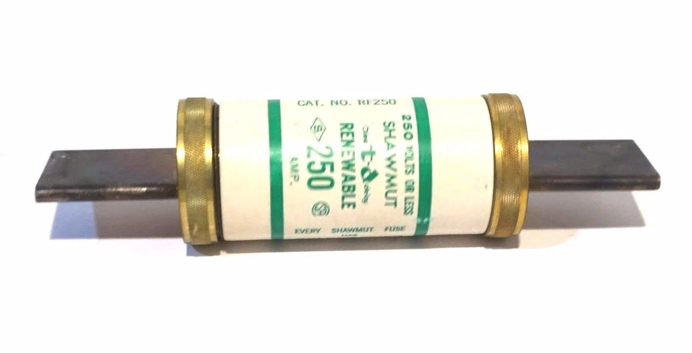 NEW FERRAZ SHAWMUT RF-250 FUSE RF250