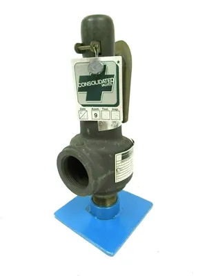 NEW DRESSER 1543F RELIEF VALVE SIZE 1 SET PRESSURE 100