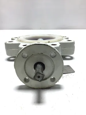 Neotecha AG N034806 Neo Seal Butterfly Valve