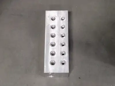 6 Station Aluminum Manifold Valve