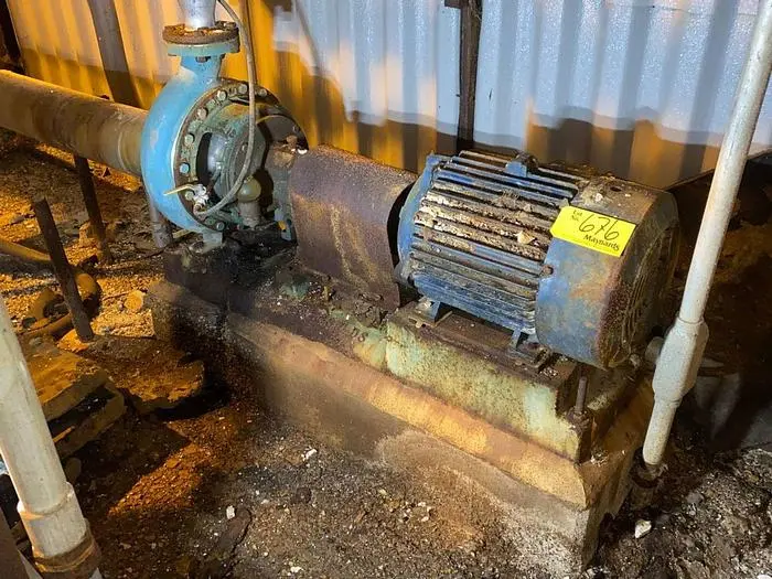 USED GOULDS 3196