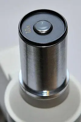 Student Microscope with Illumination / Halogen Lamp, PRM-11
