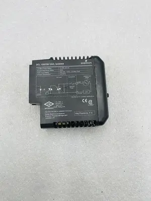 EMERSON DELTAV KJ3001X1-BH1 120/230VAC NSNP #K-2618