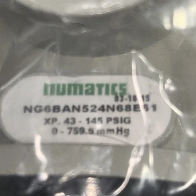 NEW Numatics NG6BAN524N68E61