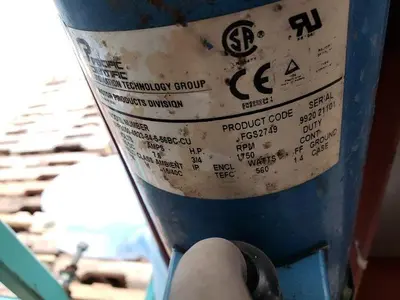 BEI 13' Berry Conveyor