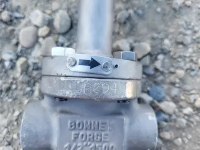 NEW BONNEY FORGE 9HL 18L-NACE-LE
