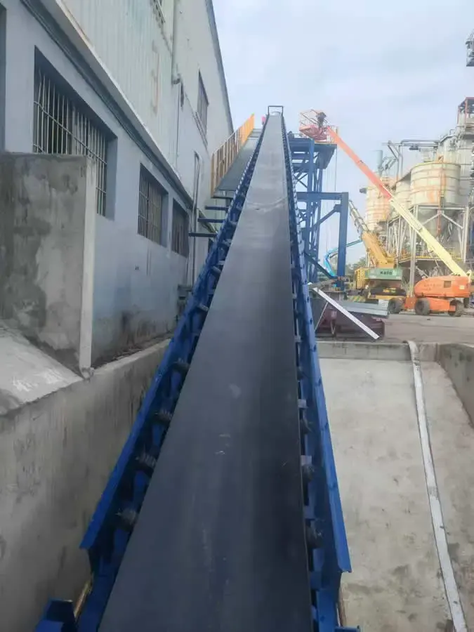 Used 2026 Zoomry ZR120SF Conveyors HK | Zoomry Group Company #1517562