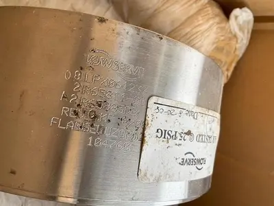 Flowserve Valves PN 03LEX565247