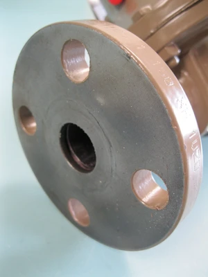 NEW Cashco 2B6-5S37-X2X55194C