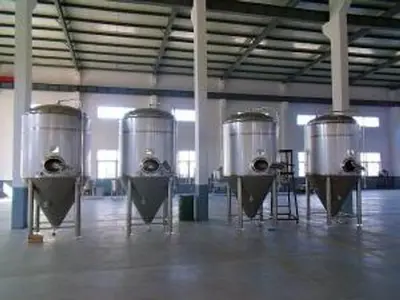 NEW STOCK BSV 30 BBL FERMENTER