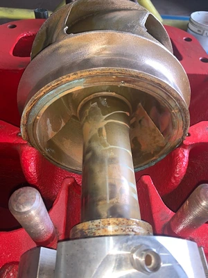 USED Goulds 3410