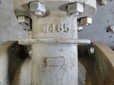 USED TLV CF8M