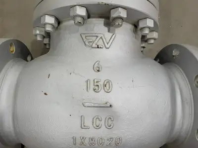 6" Class 150 Globe Valve API 624