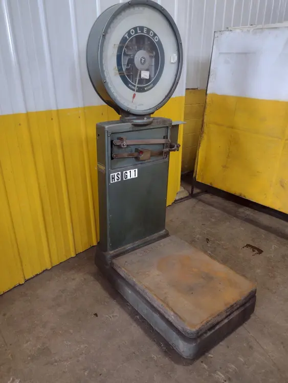 Used TOLEDO 2181 Scales Ohio US | Yoder Brothers machinery 15 #89601