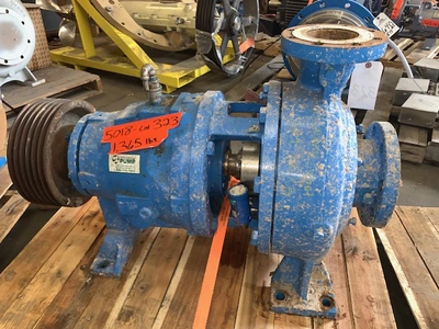 USED Goulds 3175