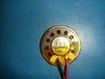 NEW Intervox S110RMSS