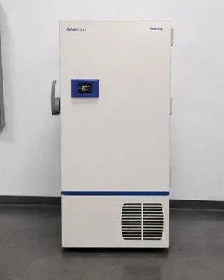 Used THERMO FISHER SCIENTIFIC ISOTEMP -80 °C ULTRA LOW TEMP FREEZER Ultra-Low Temperature Freezers New Jersey US | Bionex Scientific LLC #799502