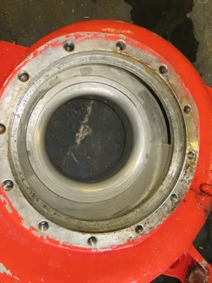USED Goulds 3175