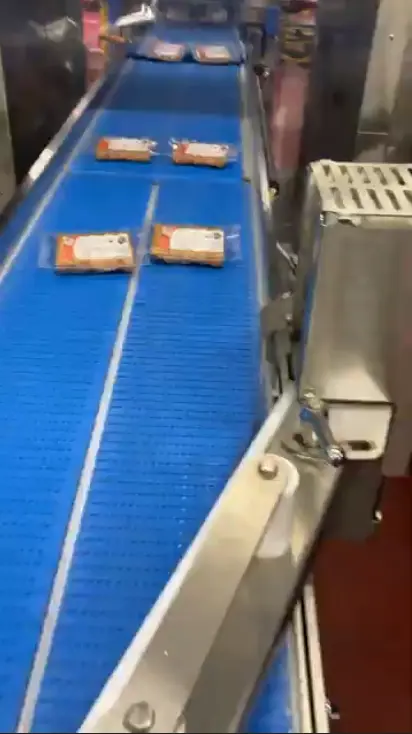 Used CUSTOM BUILT CONVEYOR Belt Conveyors Illinois US | M&M Equipment Corp. #1145754