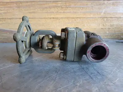 NEW 2019 DATIAN VALVE Z61Y-800LB