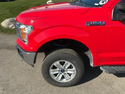 Used 2020 FORD F150 Pickup Trucks Michigan US | Miedema Asset Management Group #1568227