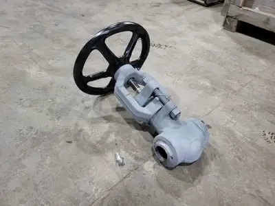 2" Class 900 Globe Valve B16.34