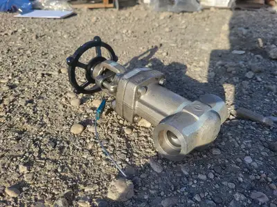 1" Class 800 Globe Valve API 602