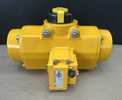 NEW Emerson QS0200.UA04A.22DD10
