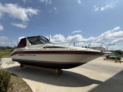 Used 1993 SEA RAY SUNDANCER 290 Boats (Misc) Michigan US | Miedema Asset Management Group #1340461