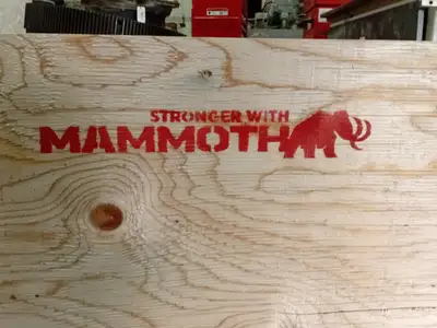 NEW MAMMOTH DPF82090