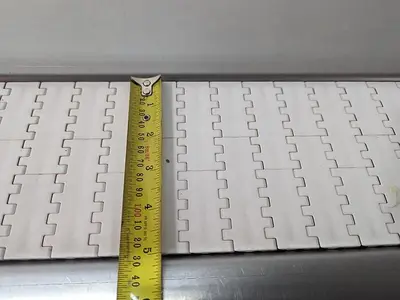 Fairview Packing Conveyor