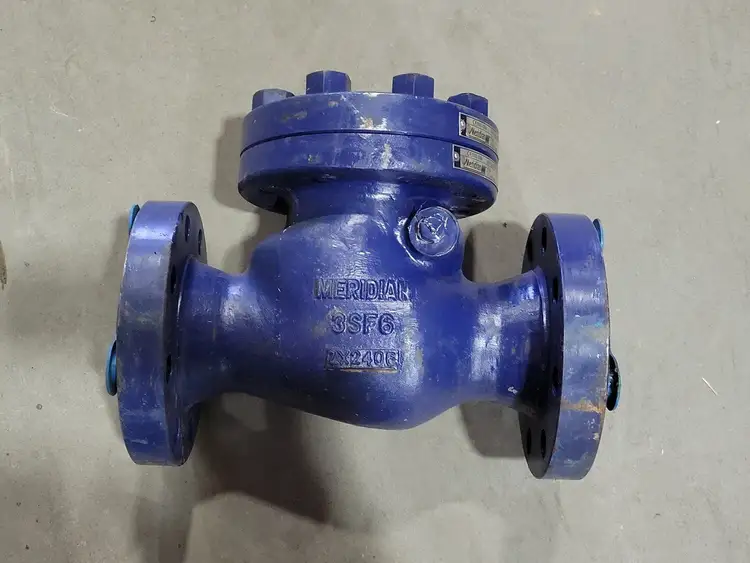 Used 2006 MERIDIAN 3S-F6RC125 Valves/Fittings British Columbia CA | Lenmark #258048