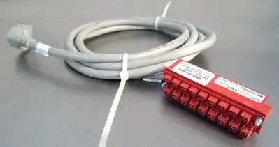 Used Allen-Bradley 1492-CABLE020A Misc Electrical & Power Parts South Carolina US | Palmetto Automation #1272028