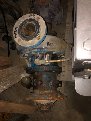 USED Goulds 3196