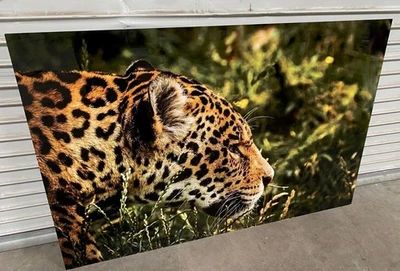 Leopard Large Metal Print 40" x 60" Nice Art Work