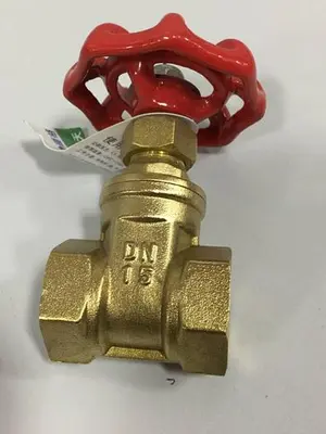 NEW RUIGE VALVE665