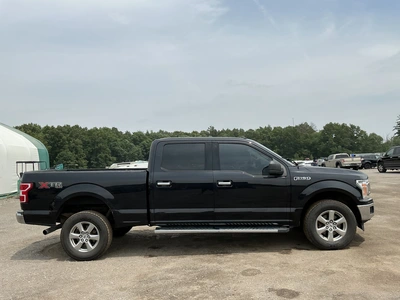 Used 2019 FORD F150 Pickup Trucks Michigan US | Miedema Asset Management Group #1316080