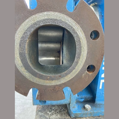 USED SWABY LOBELINE MR60
