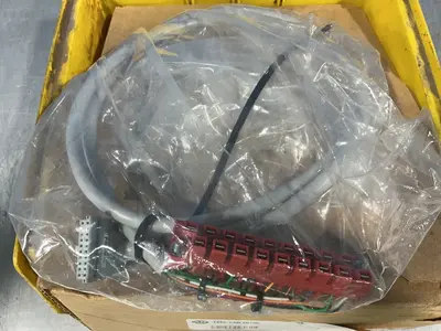 Used ALLENBRADLEY 1492CABLE010C Cable & Wire Ohio US | HGR 24 #1507705