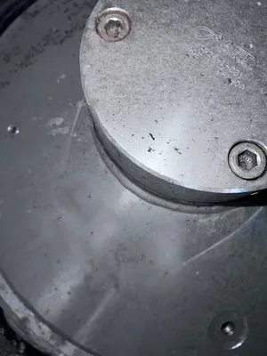 USED Bird Voith 400
