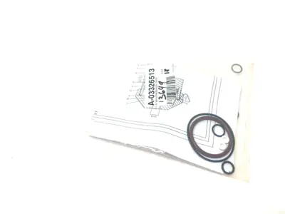 NEW REINHARDT-TECHNIK VALVE SEAL/WEAR KIT