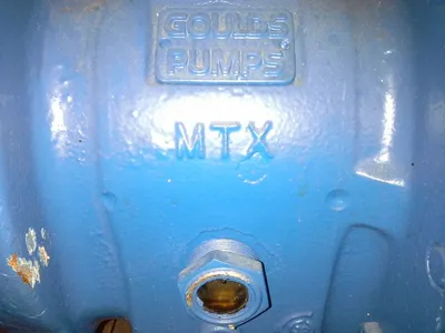 USED Goulds 3196 MTX