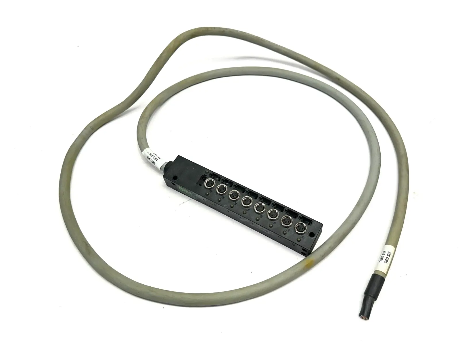 Used MURR ELEKTRONIK 850C8 Cable & Wire | Maverick Industrial Sales #1107374