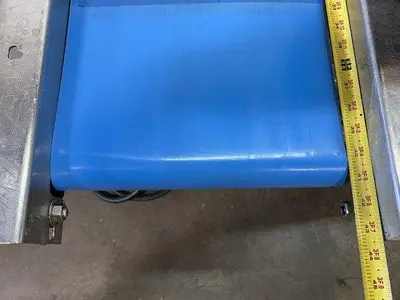 Food-Grade Conveyor With Diverter Conveyor